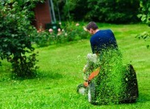 Kwikfynd Lawn Mowing
googacreek