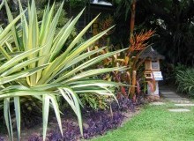Kwikfynd Tropical Landscaping
googacreek